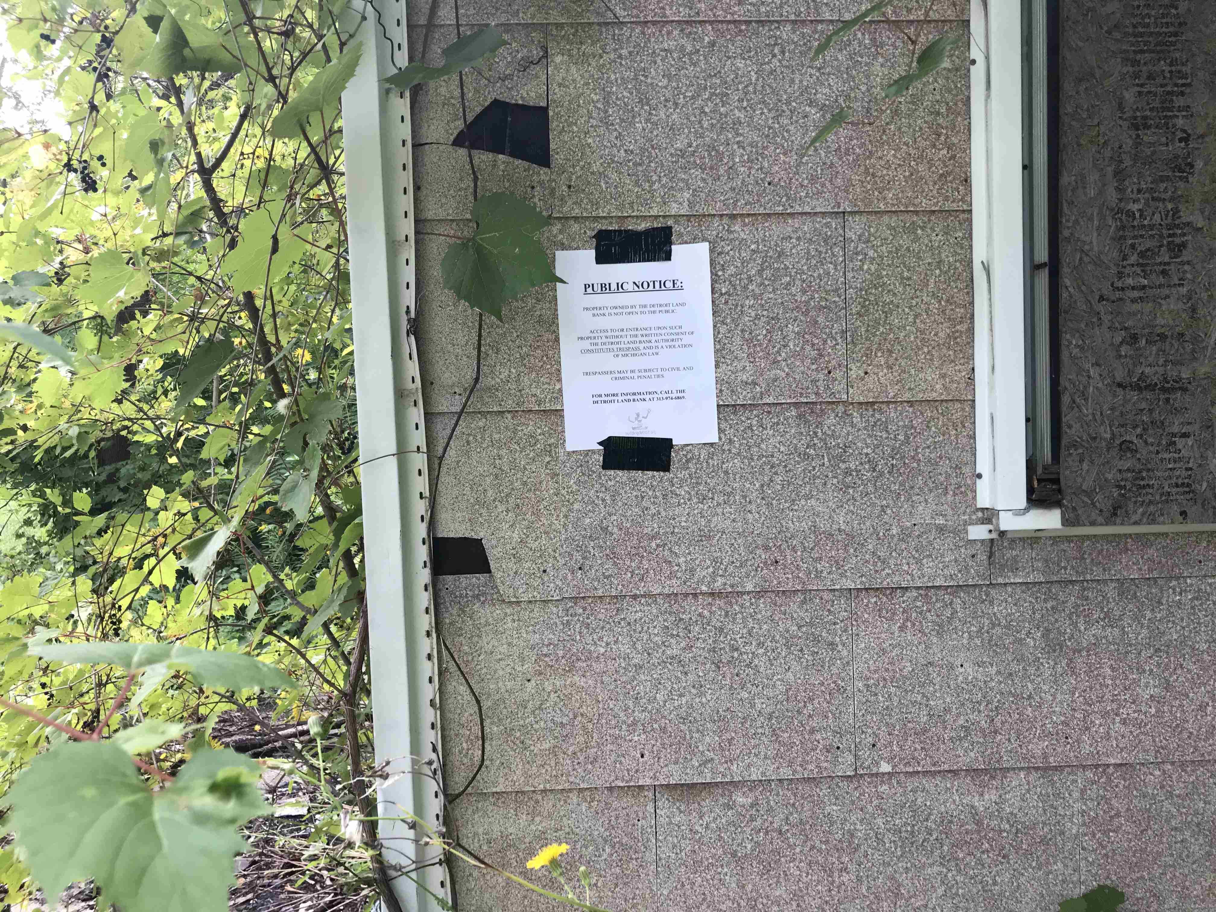 Photo Sep 09, 5 40 29 PM.jpg